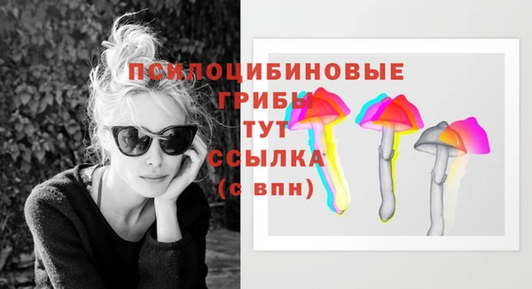 спиды Медвежьегорск