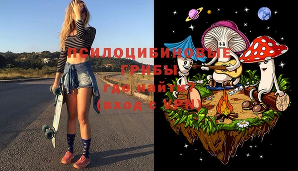 спиды Медвежьегорск