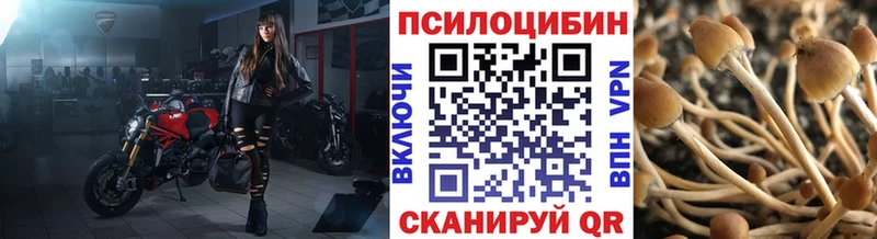 Галлюциногенные грибы мицелий  Новоуральск 